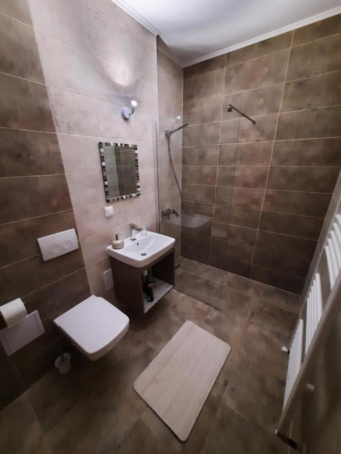 New Grey Residence Apartament Targu Mures Ngoại thất bức ảnh