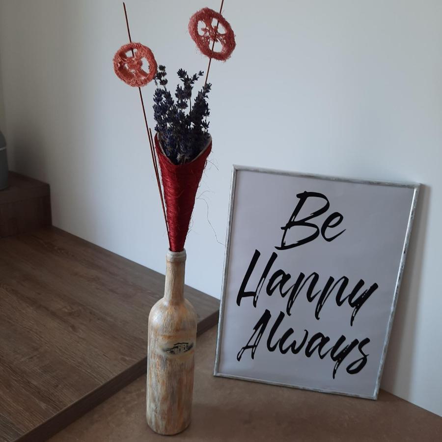 New Grey Residence Apartament Targu Mures Ngoại thất bức ảnh
